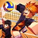 Volleyball Legends